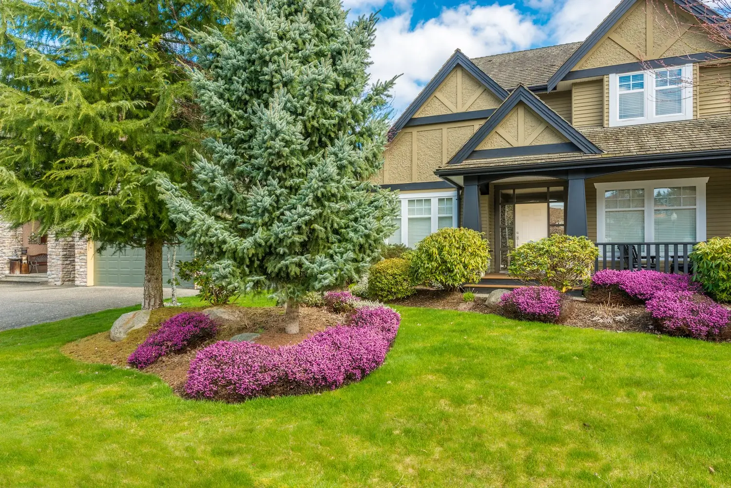 Basalt Property Management